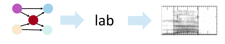 lab